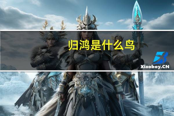 归鸿是什么鸟