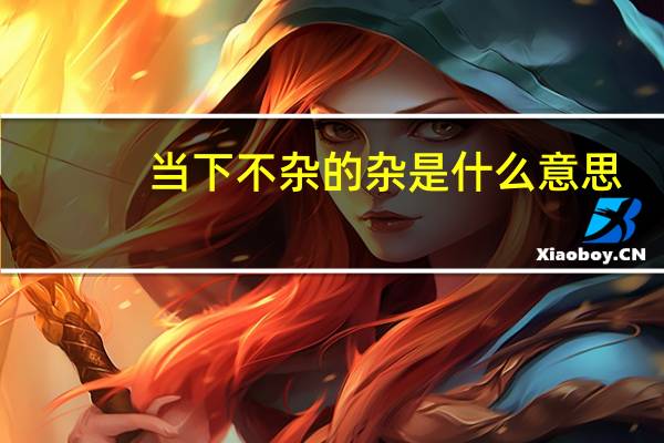 当下不杂的杂是什么意思（当下不杂什么意思）