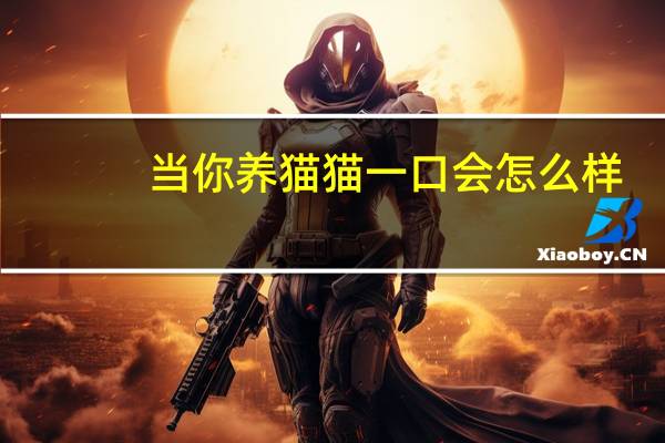 当你养猫猫一口会怎么样