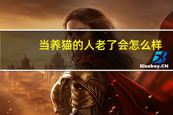 当养猫的人老了会怎么样