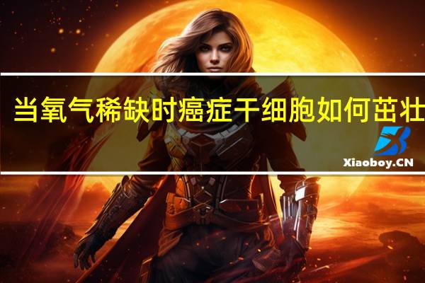 当氧气稀缺时 癌症干细胞如何茁壮成长