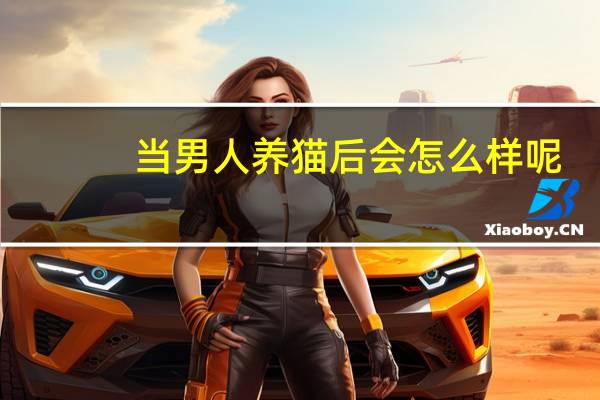 当男人养猫后会怎么样呢