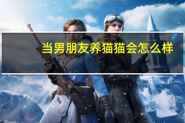 当男朋友养猫猫会怎么样