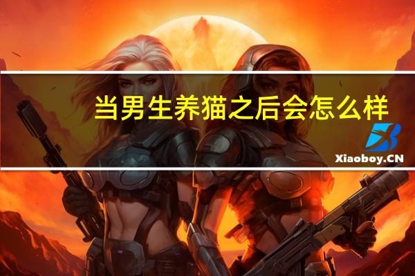 当男生养猫之后会怎么样