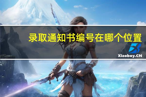 录取通知书编号在哪个位置