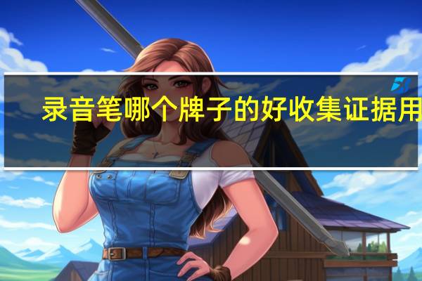 录音笔哪个牌子的好收集证据用的（录音笔哪个牌子的好）