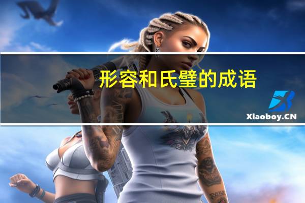 形容和氏璧的成语