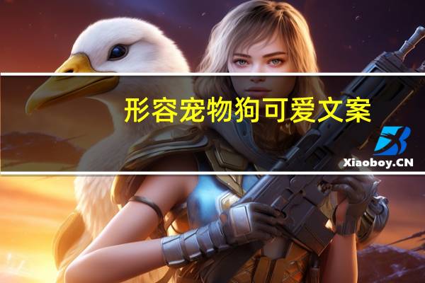 形容宠物狗可爱文案