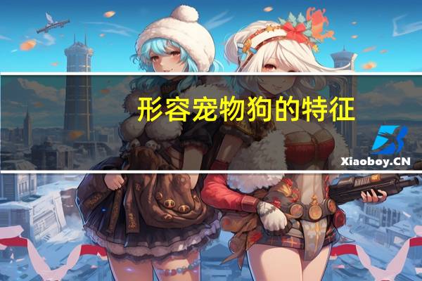 形容宠物狗的特征