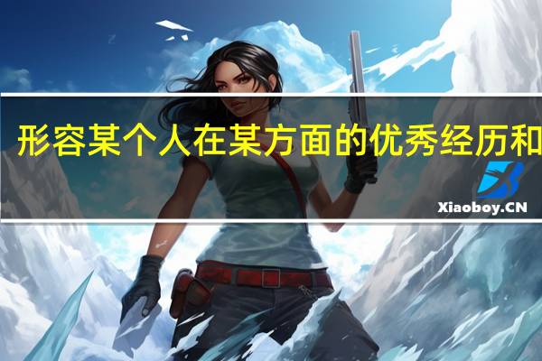 形容某个人在某方面的优秀经历和成就