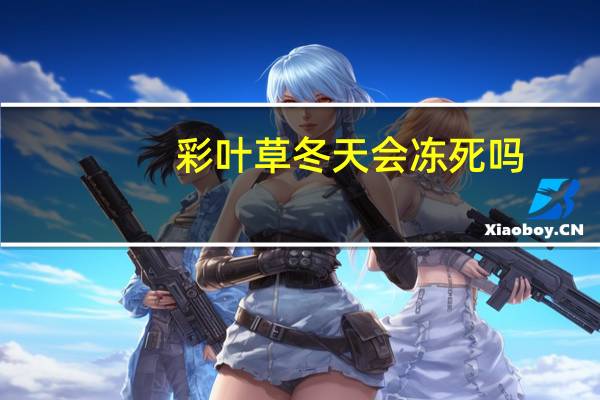 彩叶草冬天会冻死吗
