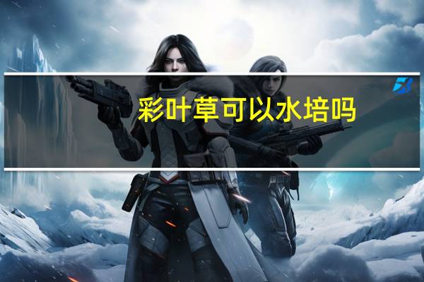 彩叶草可以水培吗