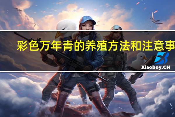 彩色万年青的养殖方法和注意事项