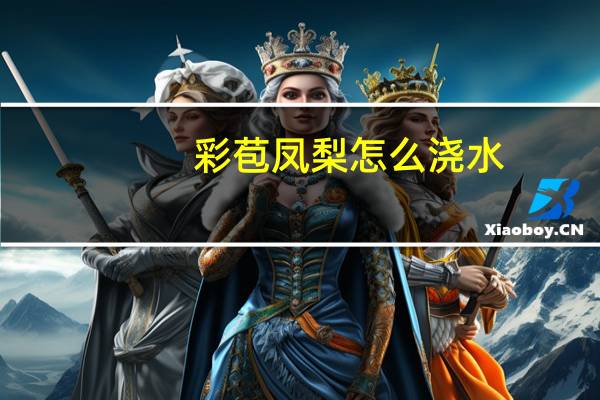 彩苞凤梨怎么浇水