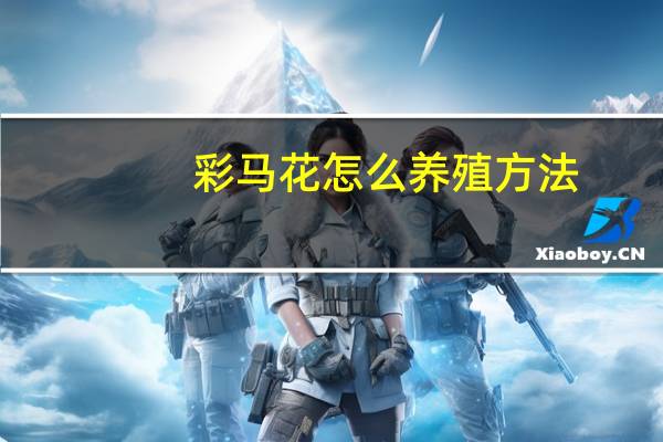 彩马花怎么养殖方法