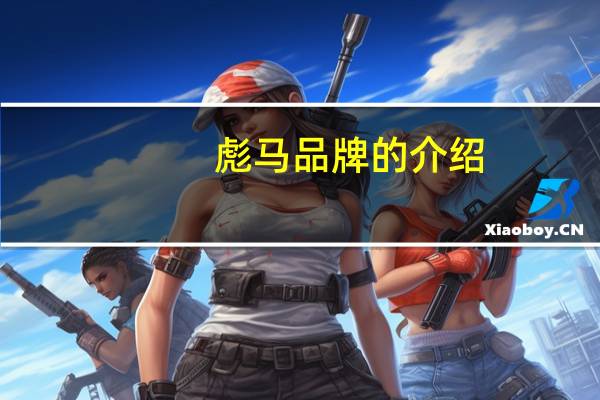 彪马品牌的介绍