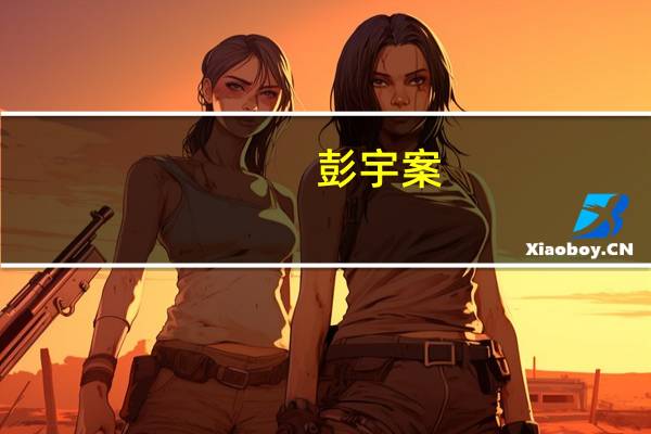 彭宇案（关于彭宇案的介绍）