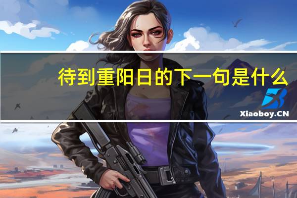 待到重阳日的下一句是什么