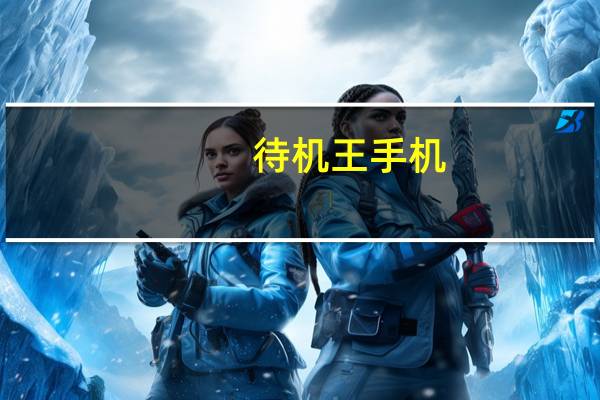 待机王手机（国产手机待机王是哪款）