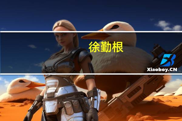 徐勤根（关于徐勤根的介绍）