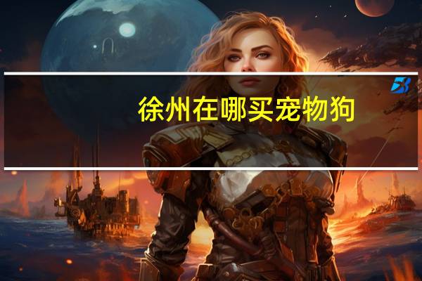 徐州在哪买宠物狗