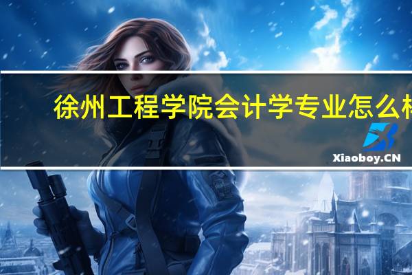 徐州工程学院会计学专业怎么样,评价好不好