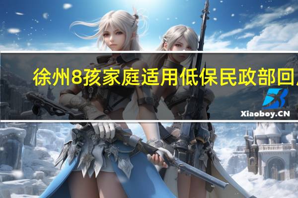徐州8孩家庭适用低保民政部回应　