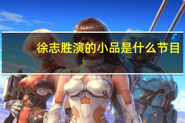 徐志胜演的小品是什么节目