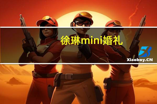 徐琳mini婚礼（徐琳mini）