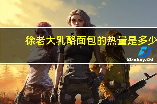 徐老大 乳酪面包的热量是多少