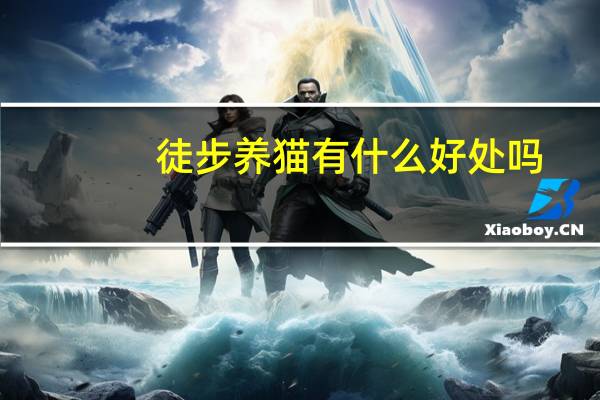 徒步养猫有什么好处吗