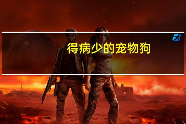 得病少的宠物狗