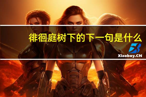 徘徊庭树下的下一句是什么