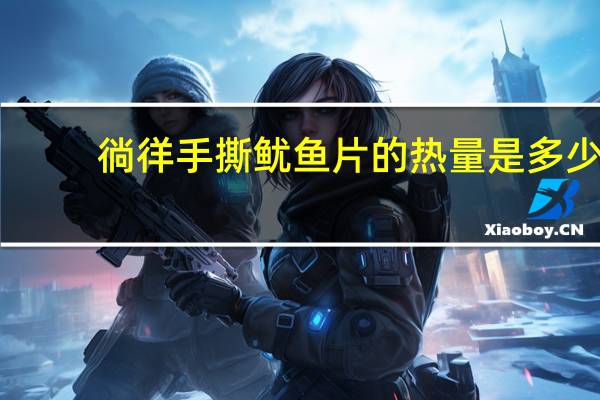 徜徉 手撕鱿鱼片的热量是多少