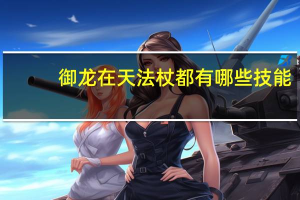 御龙在天法杖都有哪些技能（御龙在天法杖分为哪两支）