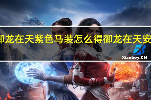 御龙在天紫色马装怎么得 御龙在天安装不了