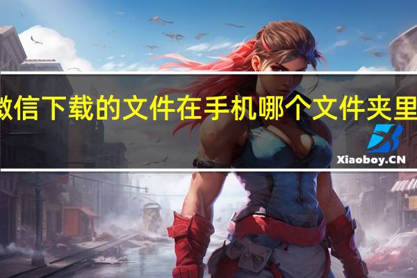 微信下载的文件在手机哪个文件夹里面电脑（微信下载的文件在手机哪个文件夹）