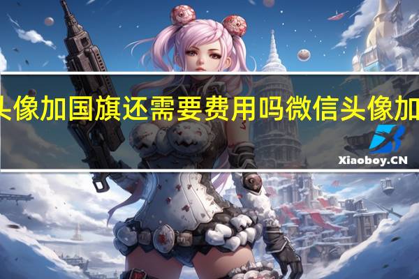 微信头像加国旗还需要费用吗 微信头像加国旗怎么弄
