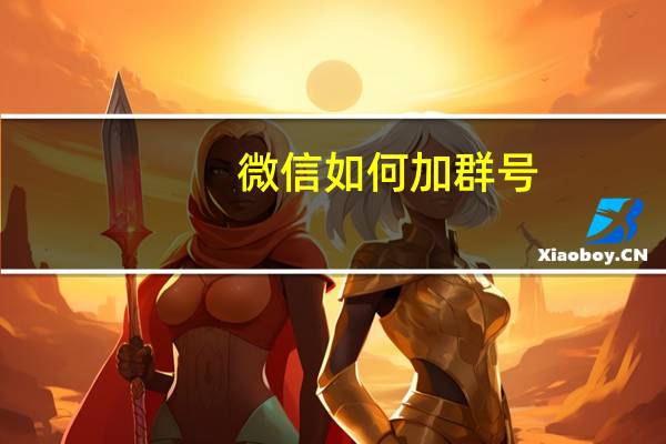 微信如何加群号（微信群号在哪里）