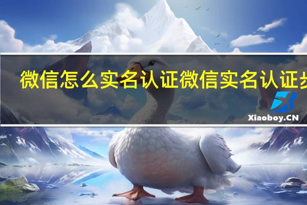 微信怎么实名认证 微信实名认证步骤