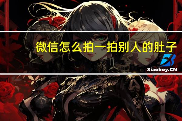 微信怎么拍一拍别人的肚子（微信怎么拍一拍别人）