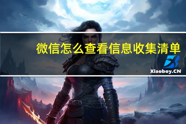 微信怎么查看信息收集清单