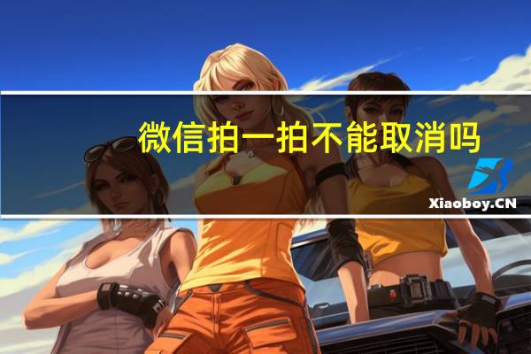 微信拍一拍不能取消吗（微信拍一拍不显示）