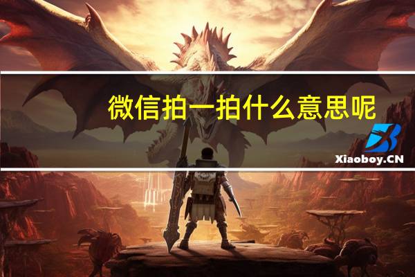 微信拍一拍什么意思呢（微信拍一拍什么意思）