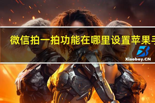 微信拍一拍功能在哪里设置苹果手机（微信拍一拍功能在哪里）