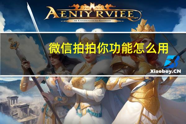 微信拍拍你功能怎么用（微信拍拍你）