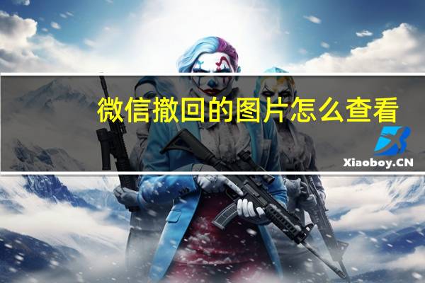 微信撤回的图片怎么查看（微信撤回）