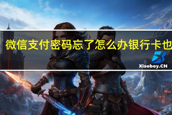 微信支付密码忘了怎么办银行卡也没有
