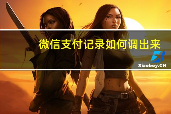 微信支付记录如何调出来（微信支付记录）