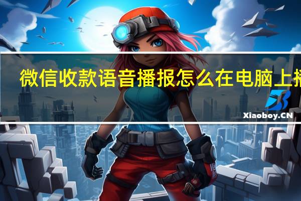 微信收款语音播报怎么在电脑上播报（微信收款语音播报电脑版）